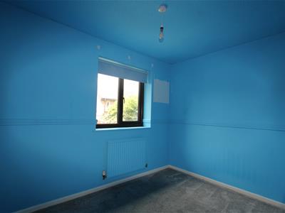 Picture 13